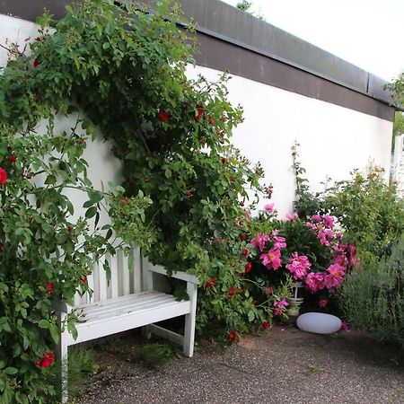 Schoene Zimmer Im Zentrum Leben Offenburg Exterior foto